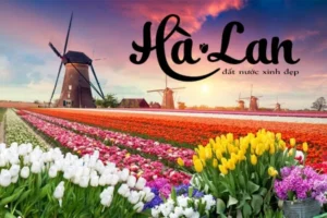 ha lan 02