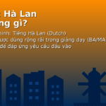 Hà Lan nói tiếng gì? Lời khuyên cho du học sinh 2026