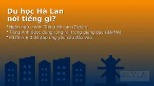 Du học Hà Lan nói tiếng gì
