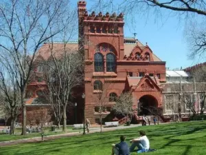 PHOTO1 3
