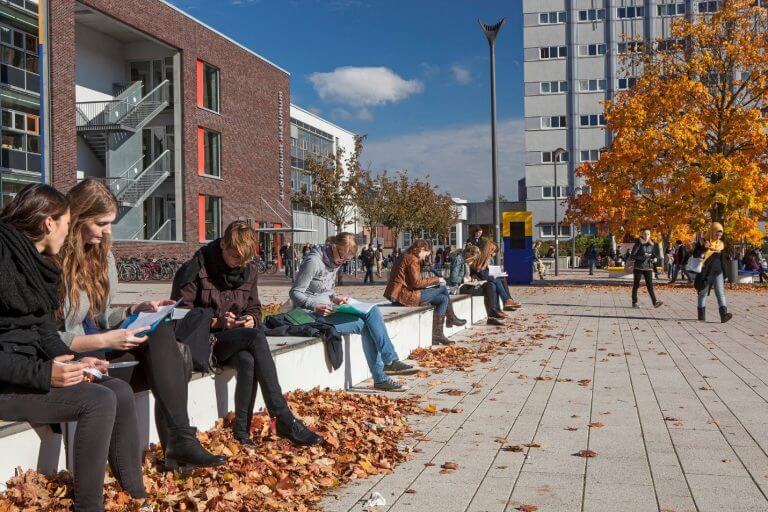 Sinh viên quốc tế thư giãn tại khuôn viên đại học Đức – điểm đến du học lý tưởng với chi phí hợp lý, chất lượng giáo dục hàng đầu.