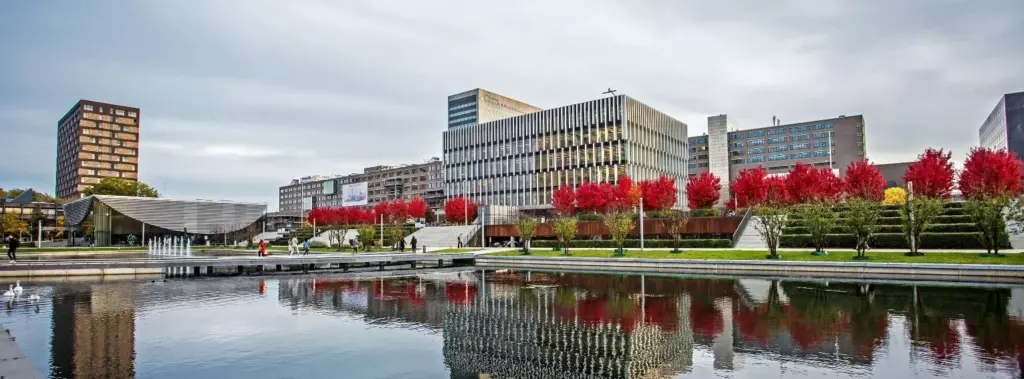 Du học Hà Lan – Trường Kinh doanh Rotterdam thuộc Đại học Erasmus nổi tiếng