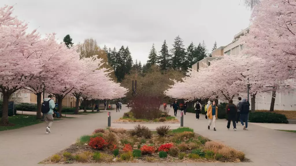 Đáp ứng các điều kiện xin visa du học Canada để nhập học tại các trường đại học hàng đầu